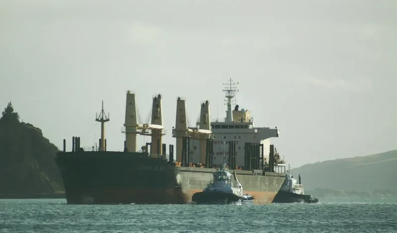 HPC FUTURE Bulk Carrier IMO 9554212 photo 4