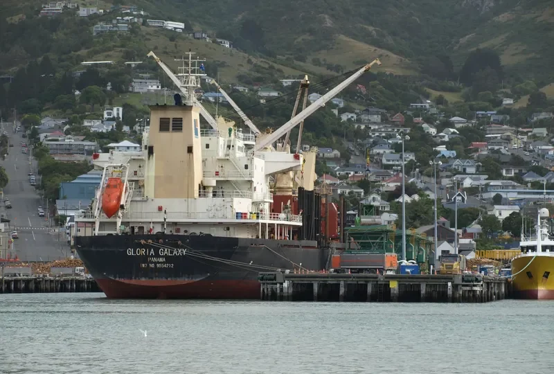 HPC FUTURE Bulk Carrier IMO 9554212 photo 5