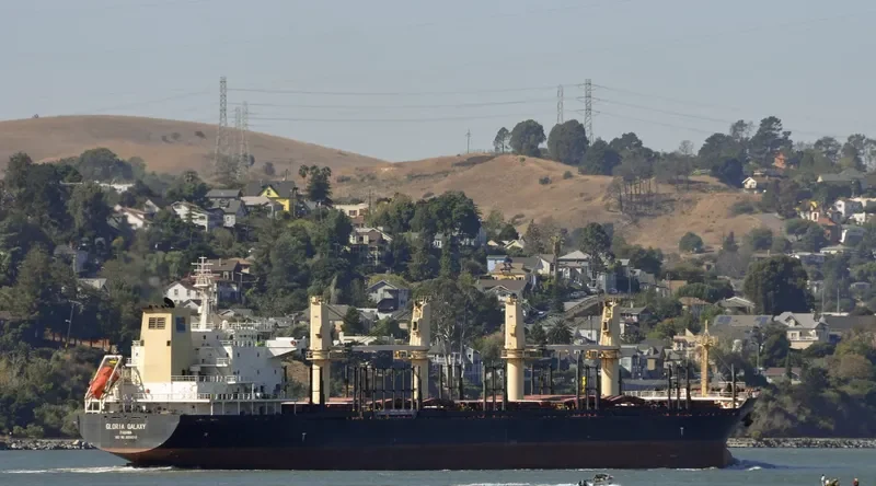 HPC FUTURE Bulk Carrier IMO 9554212 photo 6