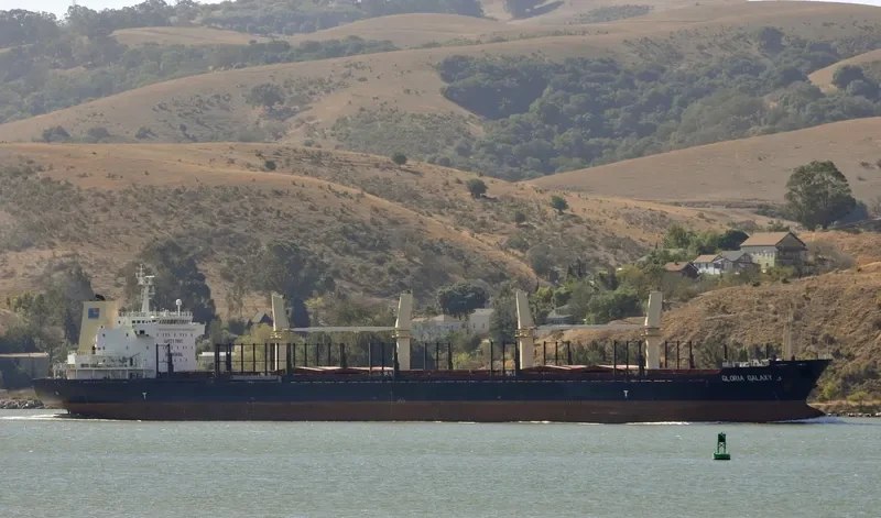 HPC FUTURE Bulk Carrier IMO 9554212 photo 7
