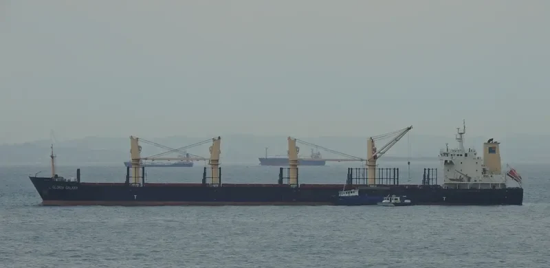 HPC FUTURE Bulk Carrier IMO 9554212 photo 8