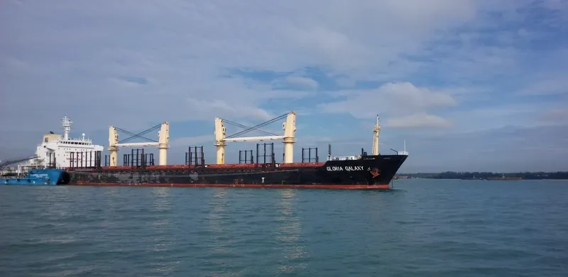 HPC FUTURE Bulk Carrier IMO 9554212 photo 9