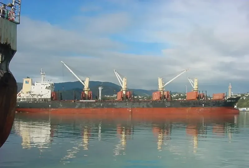 HPC FUTURE Bulk Carrier IMO 9554212 photo 10