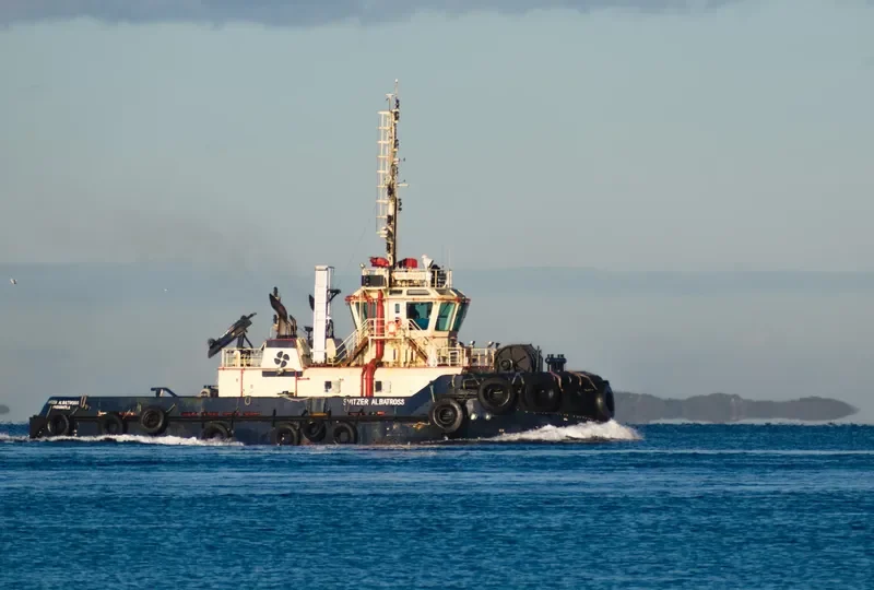 SVITZER ALBATROSS General Cargo IMO 9554315 photo 5