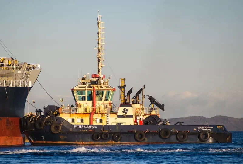 SVITZER ALBATROSS General Cargo IMO 9554315 photo 6