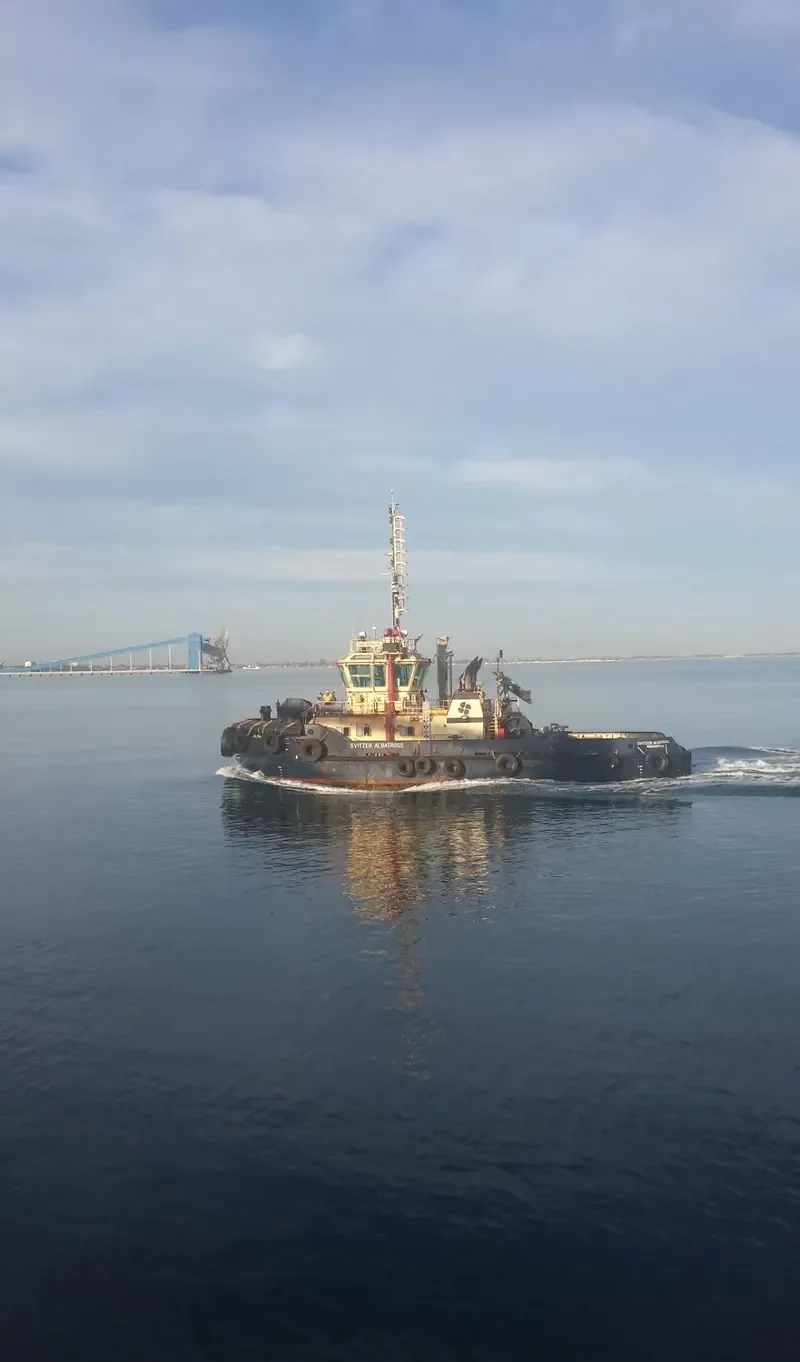 SVITZER ALBATROSS General Cargo IMO 9554315 photo 7
