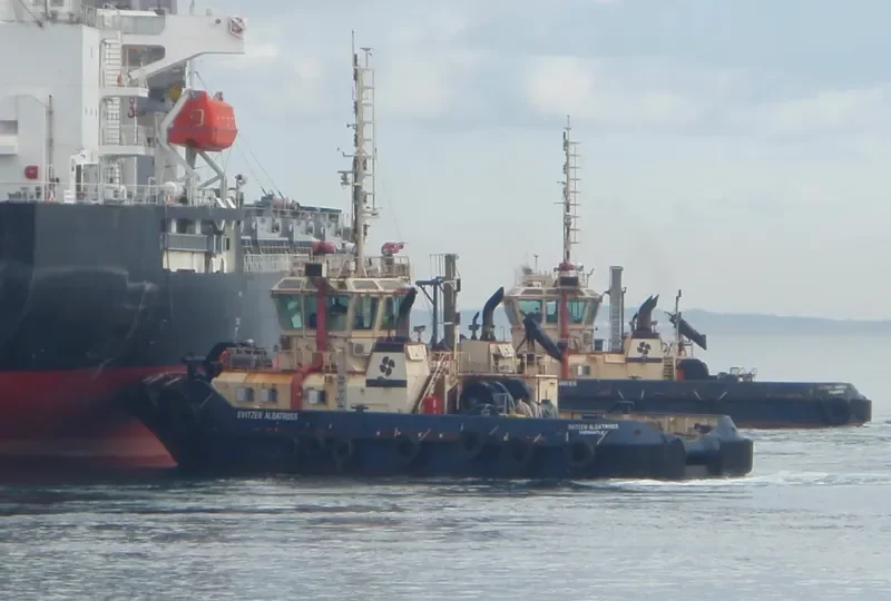 SVITZER ALBATROSS General Cargo IMO 9554315 photo 8