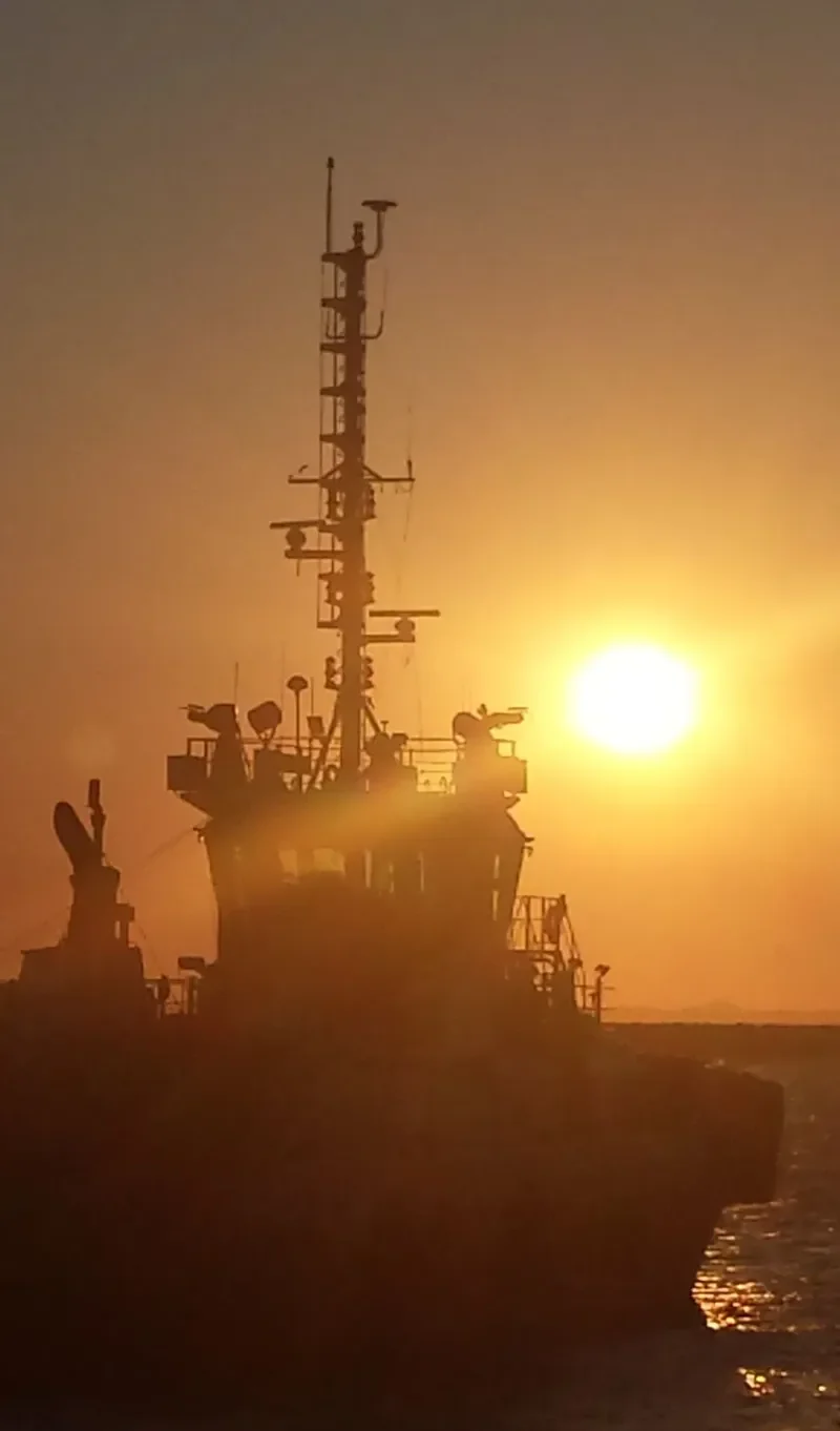 SVITZER HARRIER General Cargo IMO 9554327 photo 7