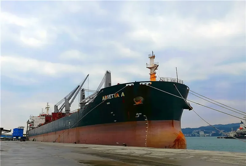 HY PARKWAY Bulk Carrier IMO 9554664 photo 10