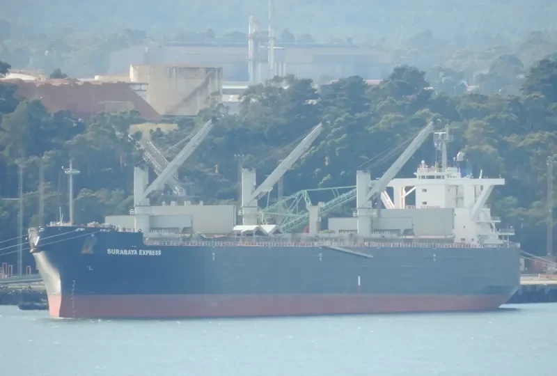 SURABAYA EXPRESS Bulk Carrier IMO 9554731