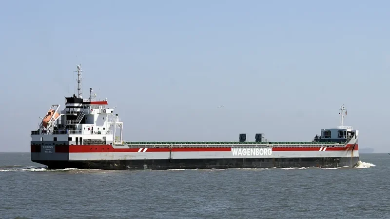VLIEBORG Container Ship IMO 9554781 photo 5