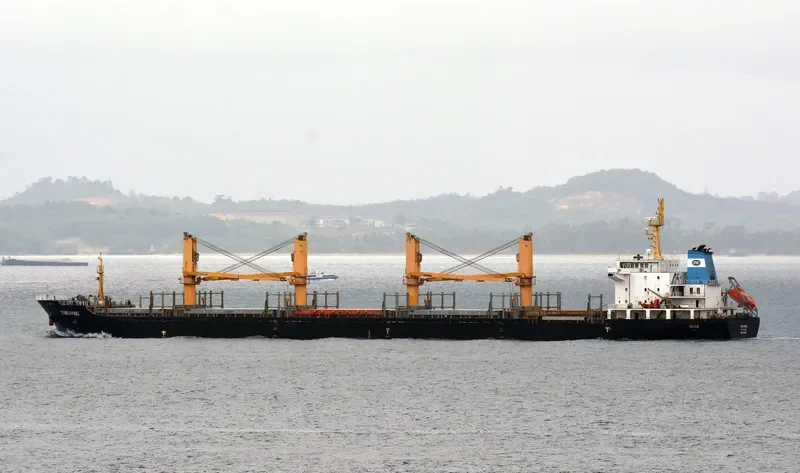 TENG HANG Bulk Carrier IMO 9554884
