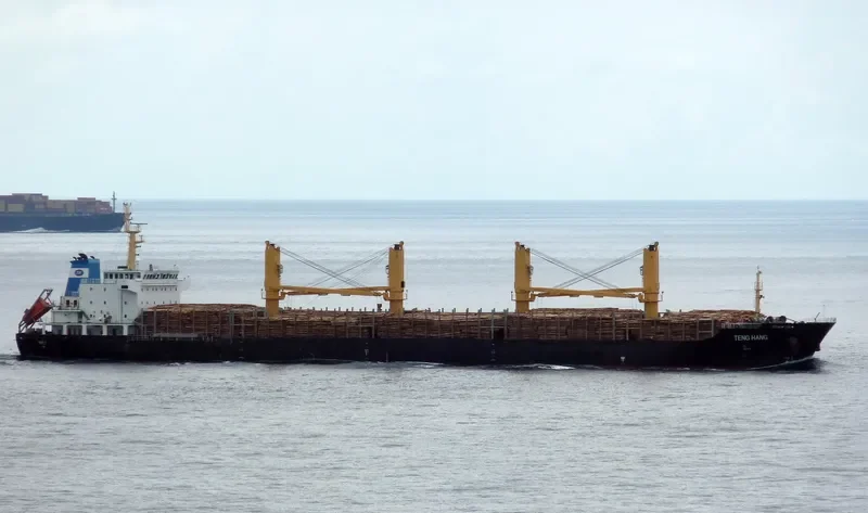 TENG HANG Bulk Carrier IMO 9554884 photo 4