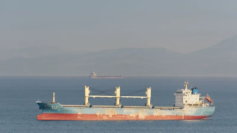 HUA YOU 1 Bulk Carrier IMO 9555072 photo 7