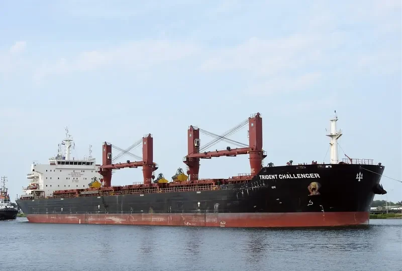 PAPA JOHN Bulk Carrier IMO 9555149 photo 2
