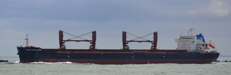 PAPA JOHN Bulk Carrier IMO 9555149 photo 5