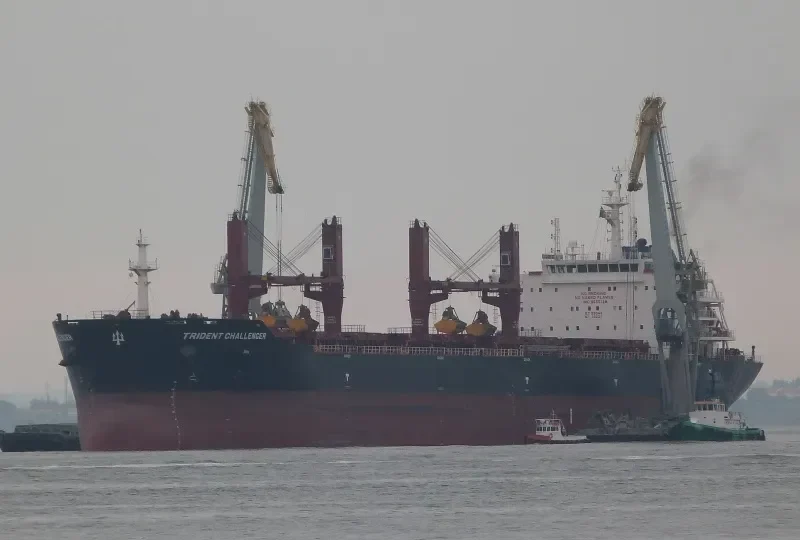 PAPA JOHN Bulk Carrier IMO 9555149 photo 8