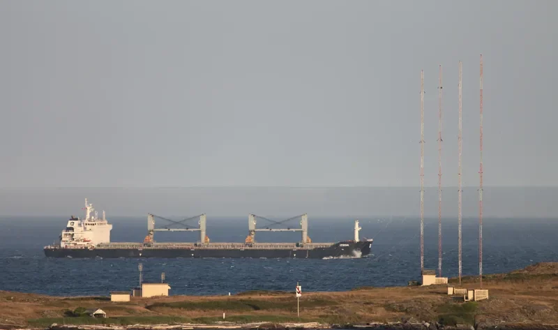 ITHOMI Bulk Carrier IMO 9555151 photo 4