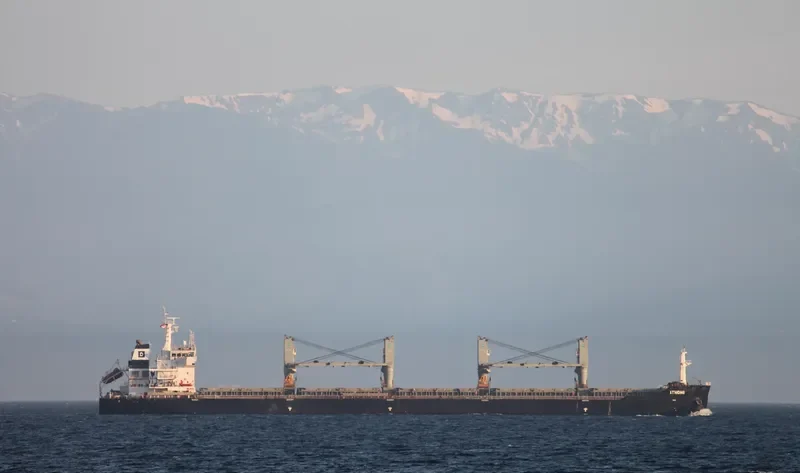 ITHOMI Bulk Carrier IMO 9555151 photo 5
