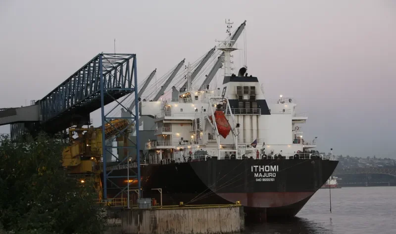 ITHOMI Bulk Carrier IMO 9555151 photo 8