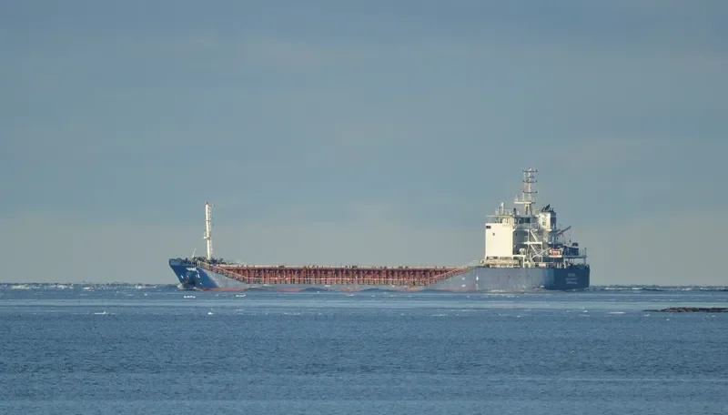 CHAROITE General Cargo IMO 9555345 photo 3