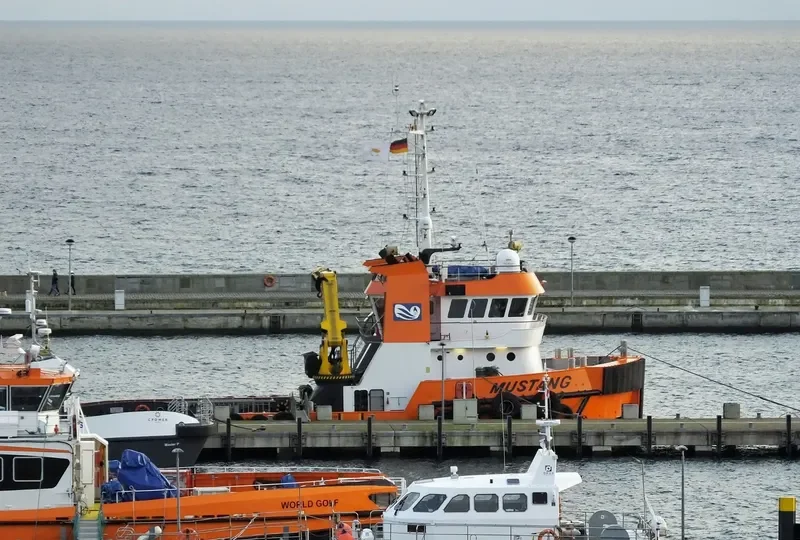 MUSTANG General Cargo IMO 9555383
