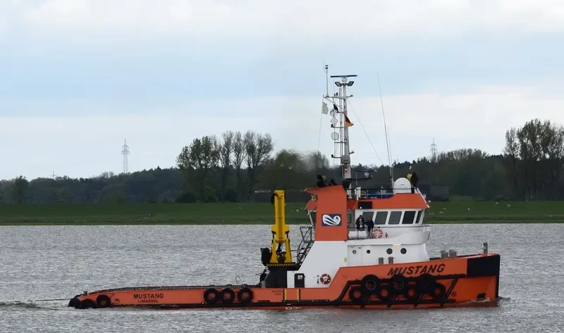 MUSTANG General Cargo IMO 9555383 photo 5