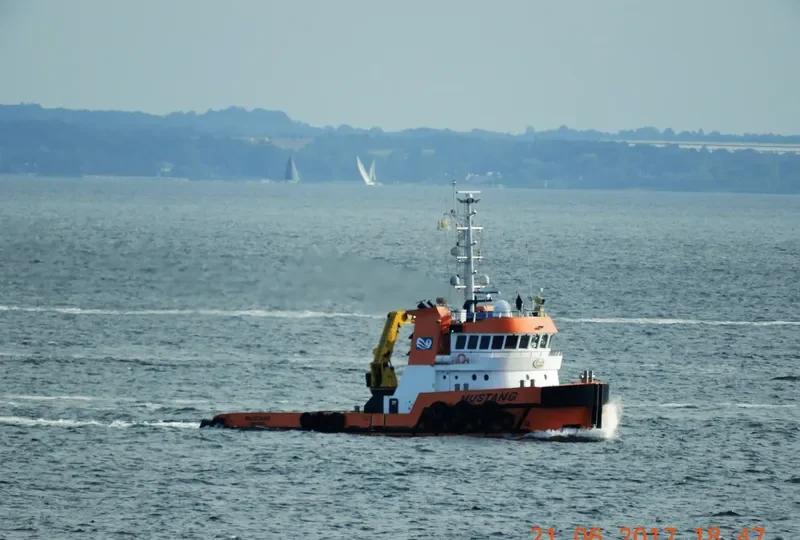 MUSTANG General Cargo IMO 9555383 photo 8