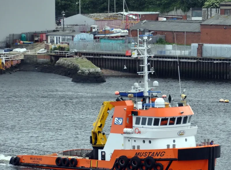 MUSTANG General Cargo IMO 9555383 photo 9
