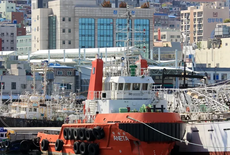 ANETA General Cargo IMO 9555515