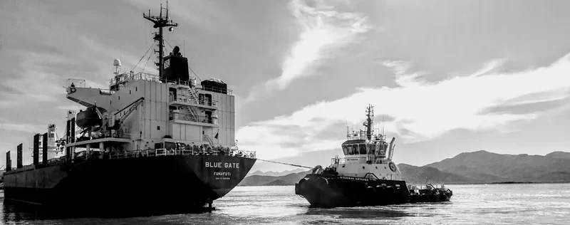 STARNAV ANTARES General Cargo IMO 9555876 photo 7