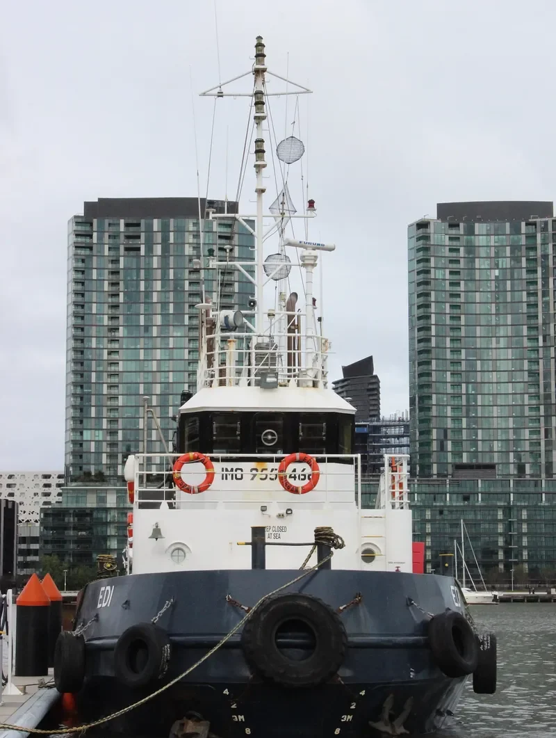 EDI General Cargo IMO 9556466 photo 6