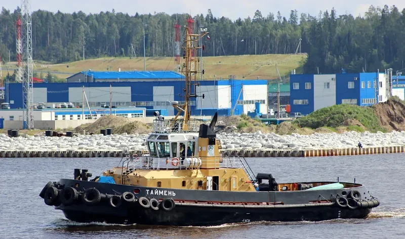 TAYMEN General Cargo IMO 9556507