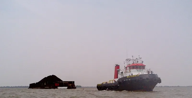 BINA MARINE 57 General Cargo IMO 9556583 photo 4