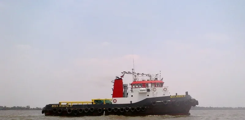 BINA MARINE 57 General Cargo IMO 9556583 photo 5