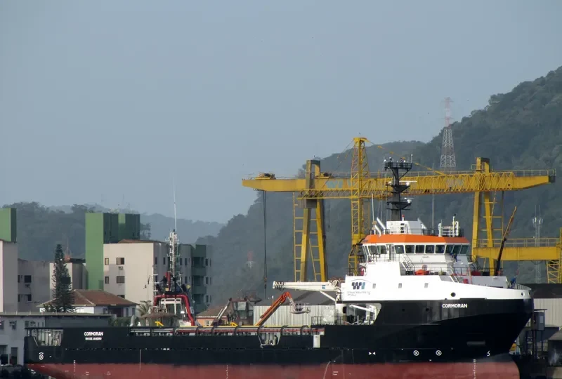 CORMORAN Offshore Vessel IMO 9556600 photo 5