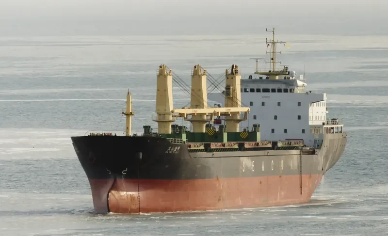 DA PIN YI HAO Bulk Carrier IMO 9556791 photo 4