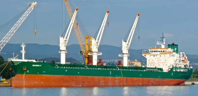 MATTEO BR Bulk Carrier IMO 9556844 photo 4