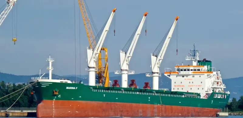 MATTEO BR Bulk Carrier IMO 9556844 photo 7