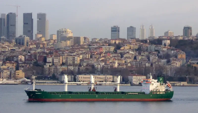 MATTEO BR Bulk Carrier IMO 9556844 photo 9