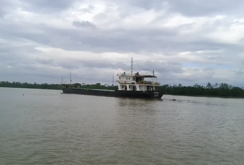 THAI BINH 36 Bulk Carrier IMO 9557020 photo 2
