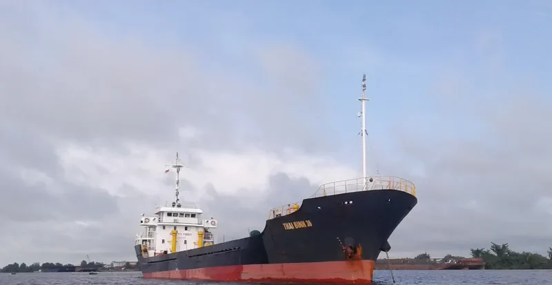THAI BINH 36 Bulk Carrier IMO 9557020 photo 3