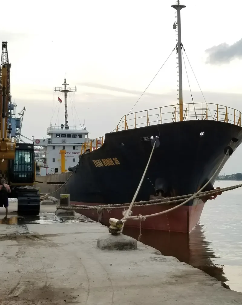 THAI BINH 36 Bulk Carrier IMO 9557020 photo 5