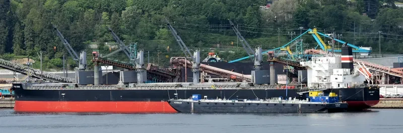 NEW DESTINY Bulk Carrier IMO 9557056