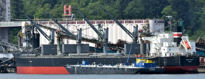 NEW DESTINY Bulk Carrier IMO 9557056 photo 2