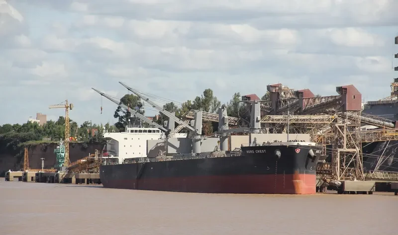 NEW DESTINY Bulk Carrier IMO 9557056 photo 3