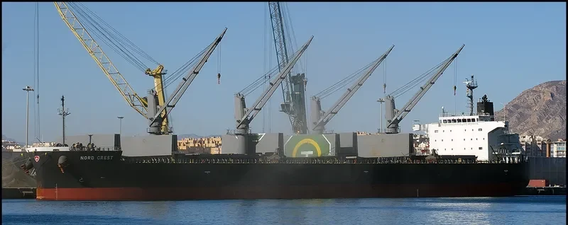 NEW DESTINY Bulk Carrier IMO 9557056 photo 4