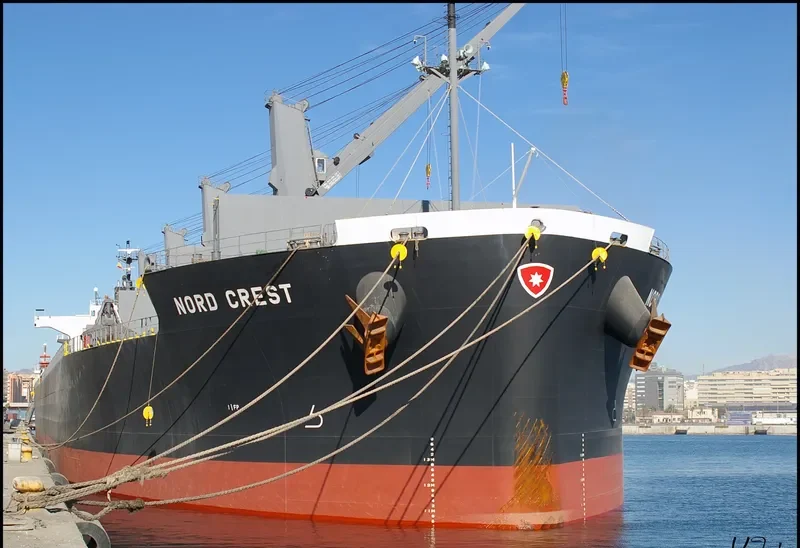 NEW DESTINY Bulk Carrier IMO 9557056 photo 5