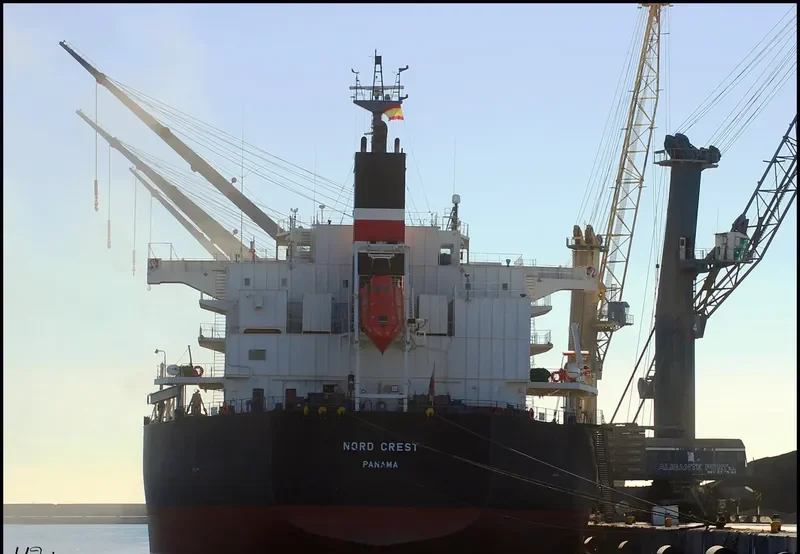 NEW DESTINY Bulk Carrier IMO 9557056 photo 6