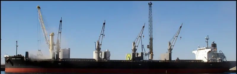 NEW DESTINY Bulk Carrier IMO 9557056 photo 7